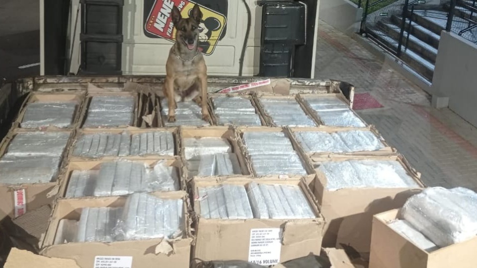 Imagem Últimas Notícias