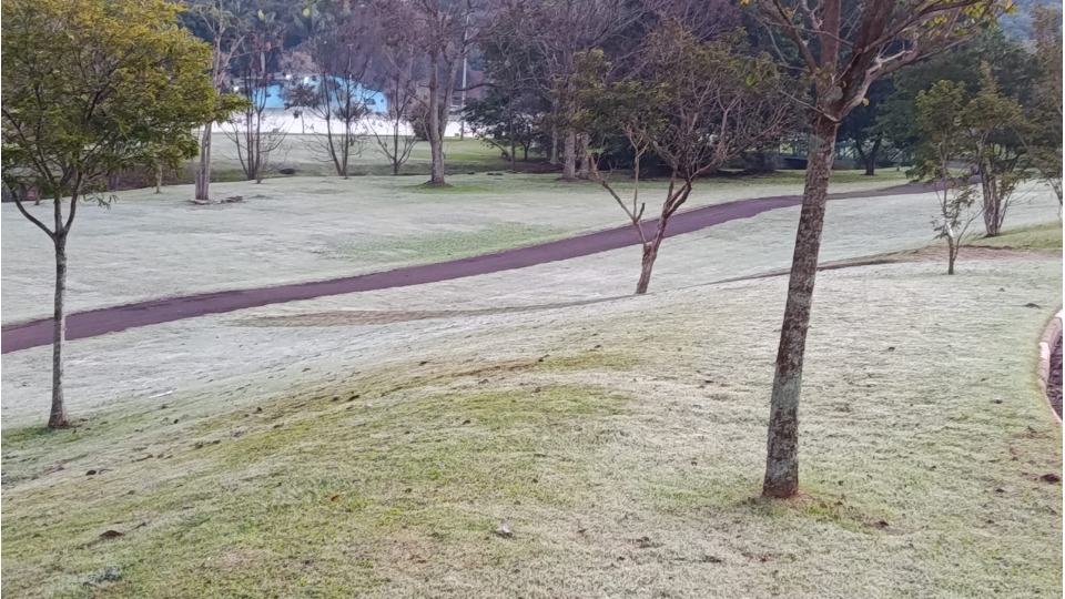 Imagem Últimas Notícias