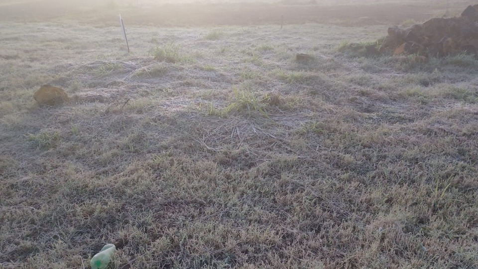 Imagem Últimas Notícias