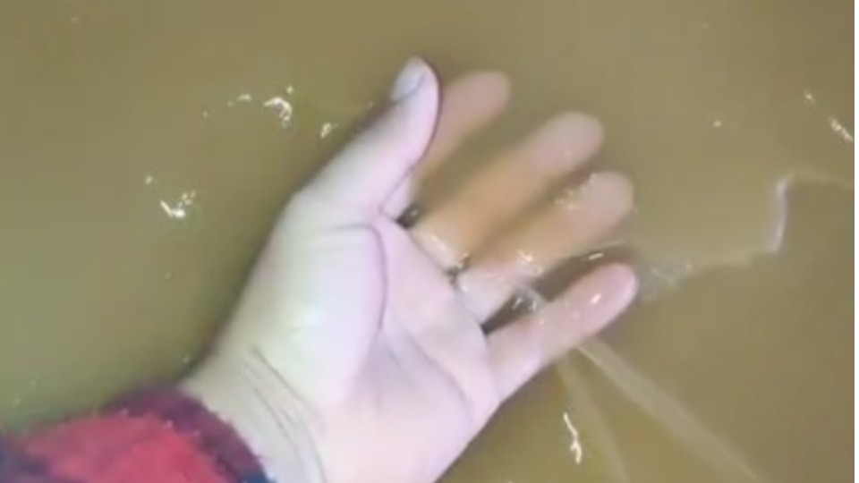 Imagem Últimas Notícias