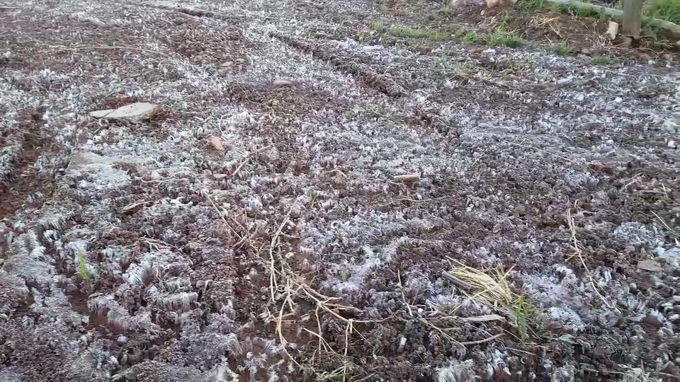 Imagem Últimas Notícias