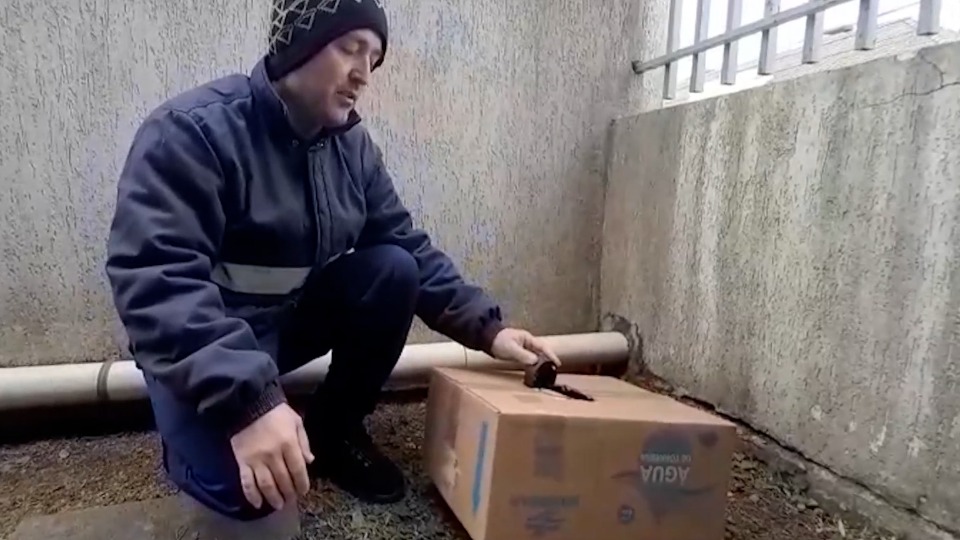 Imagem Últimas Notícias