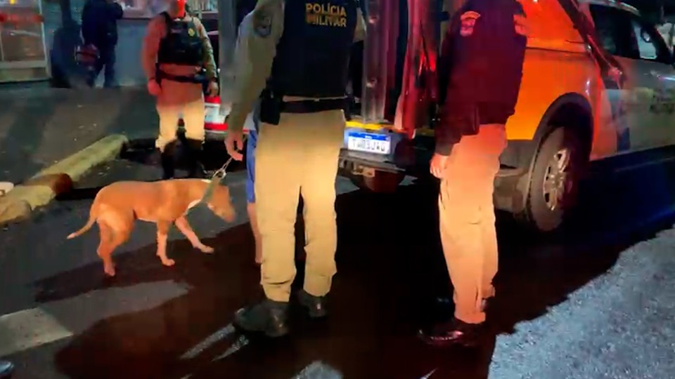 Imagem Últimas Notícias