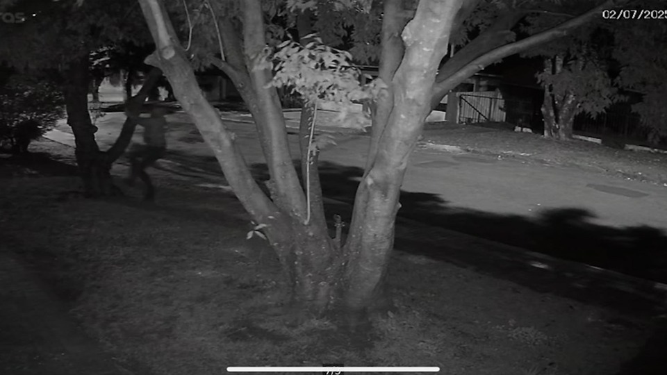 Imagem Últimas Notícias