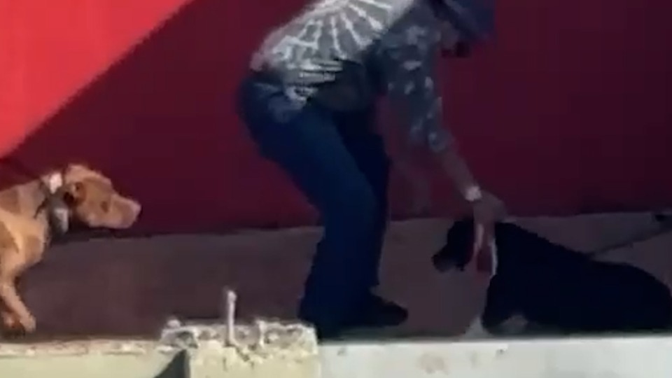 Imagem Últimas Notícias