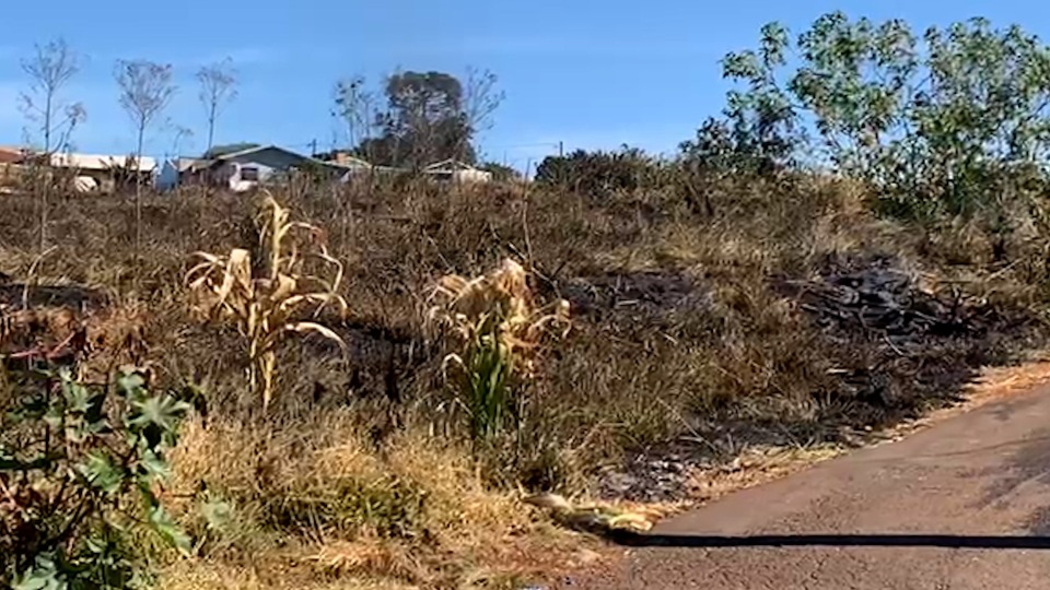 Imagem Últimas Notícias