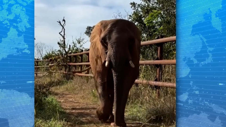 Imagem Últimas Notícias