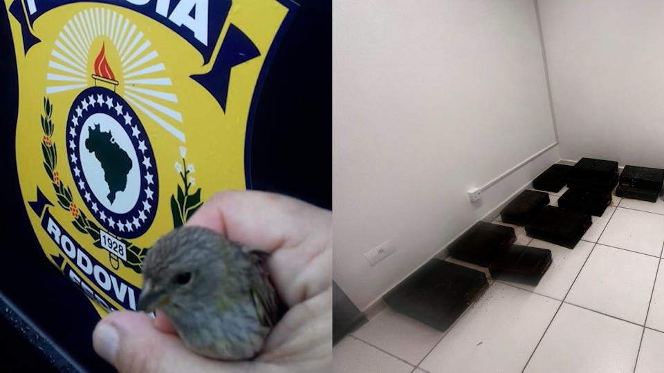 Imagem Últimas Notícias