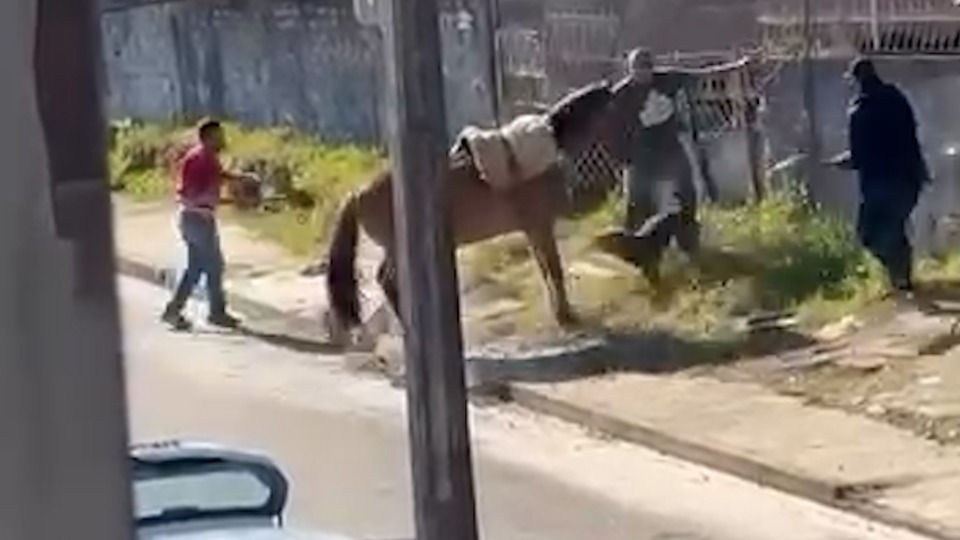 Imagem Últimas Notícias