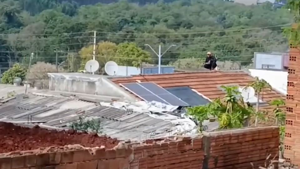 Imagem Últimas Notícias