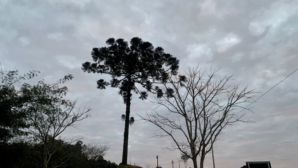 Imagem Últimas Notícias