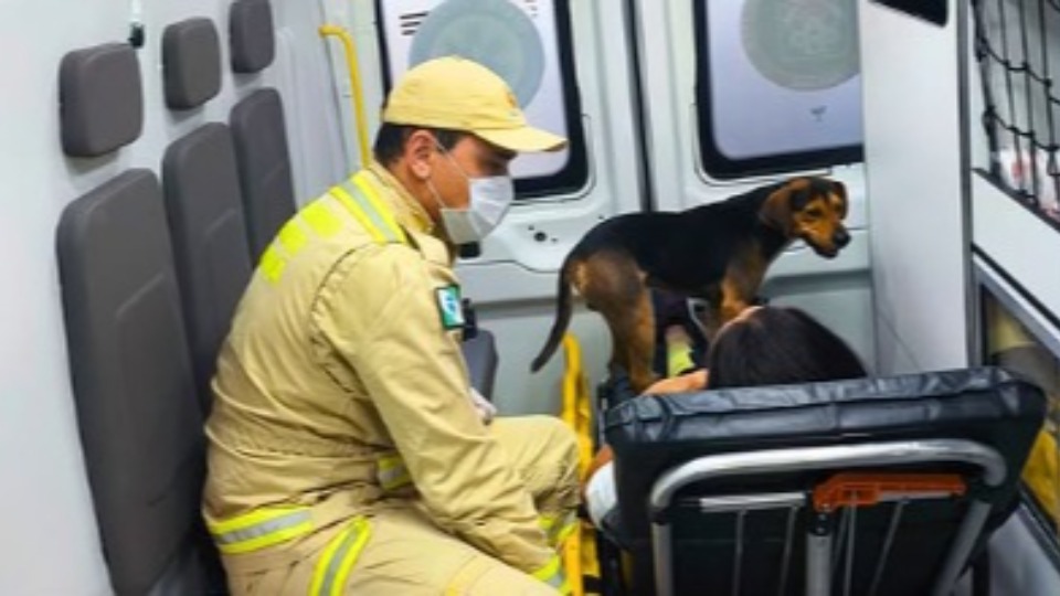 Imagem Últimas Notícias