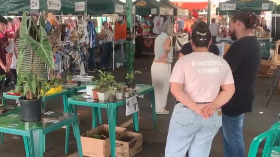 Imagem Últimas Notícias