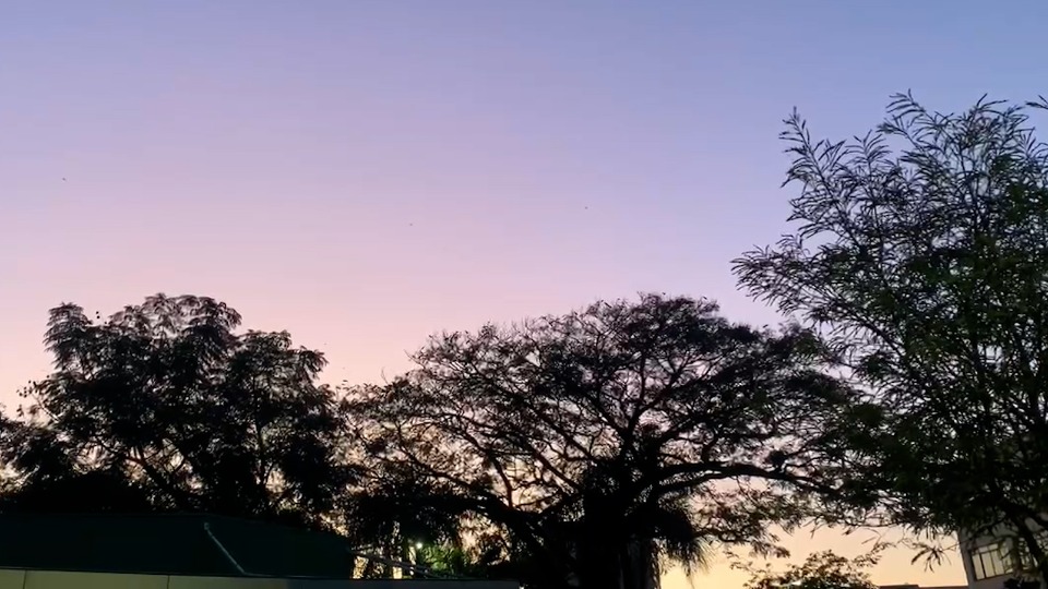 Imagem Últimas Notícias