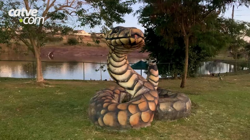 Imagem da Galeria