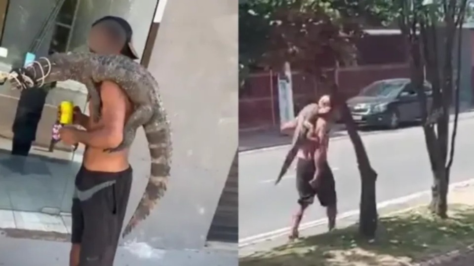 Imagem Últimas Notícias