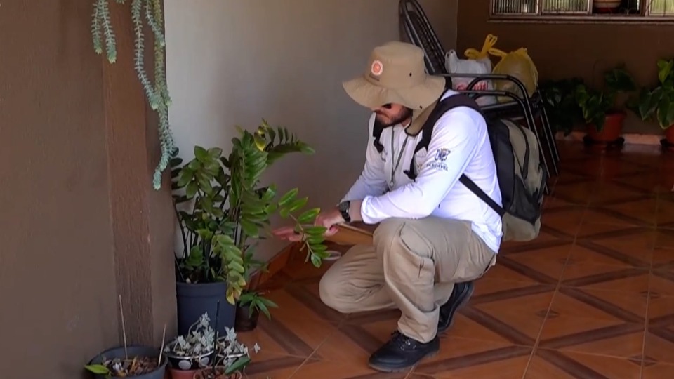 Imagem Últimas Notícias