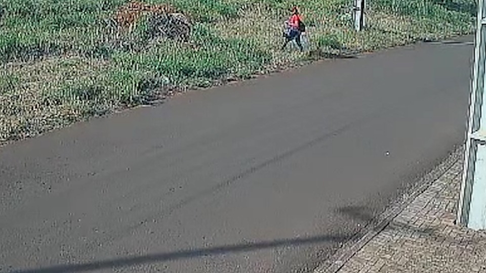 Imagem Últimas Notícias