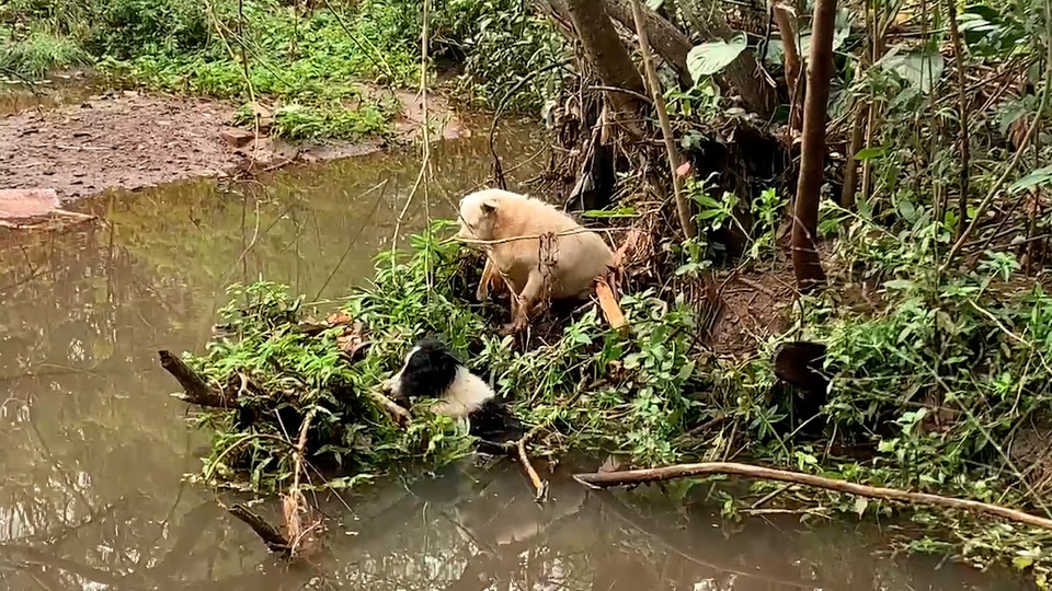 Imagem Últimas Notícias