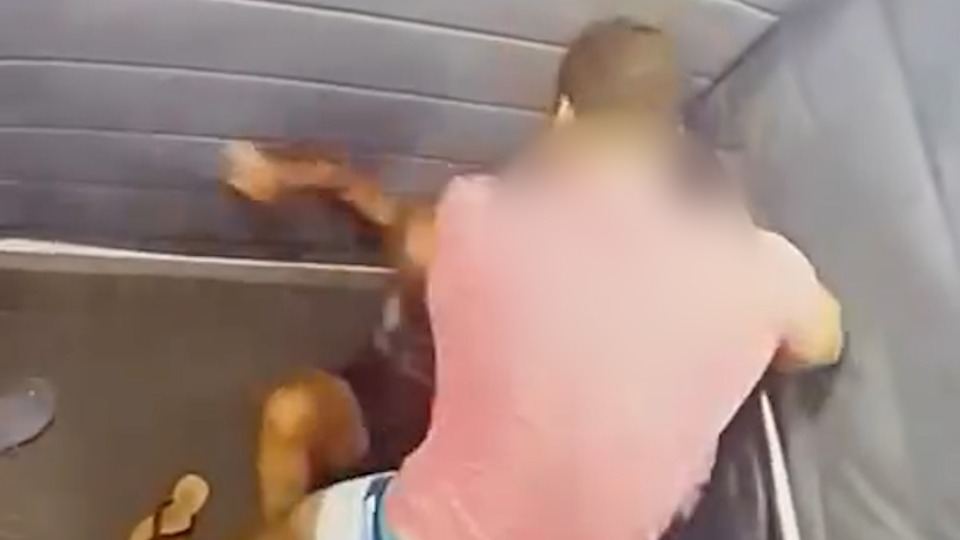 Imagem Últimas Notícias