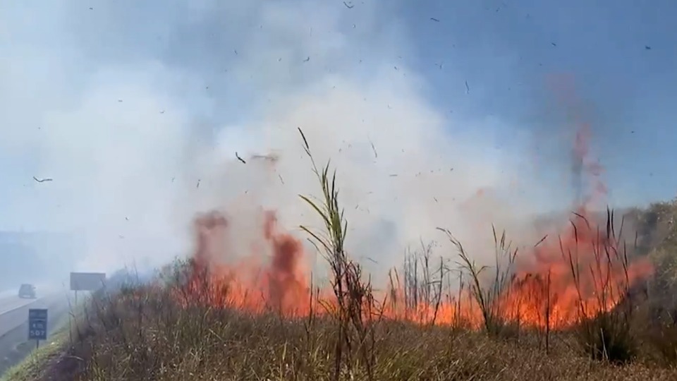 Imagem Últimas Notícias