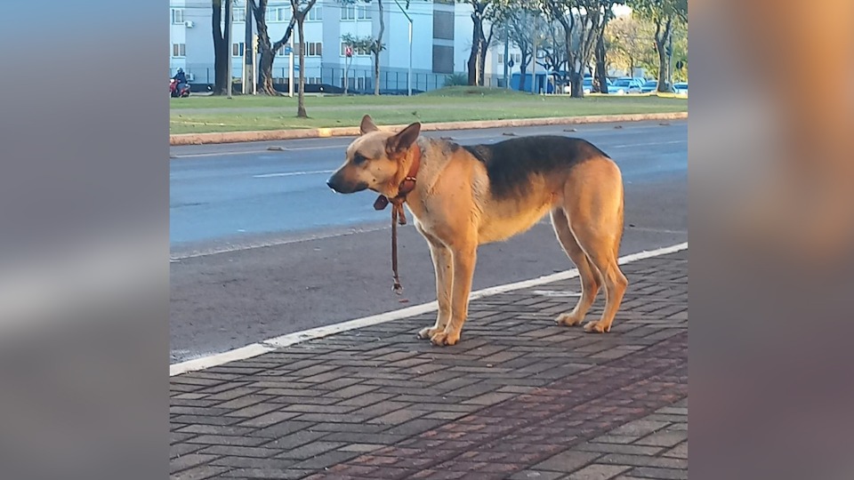 Imagem Últimas Notícias