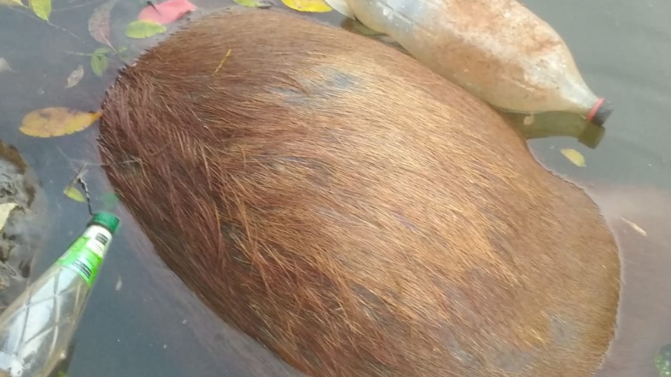 Imagem Últimas Notícias