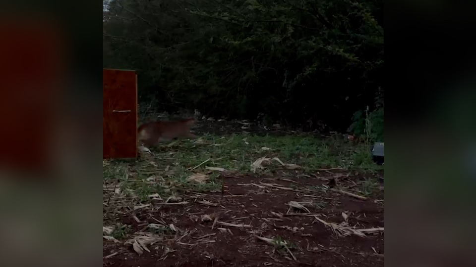 Imagem Últimas Notícias