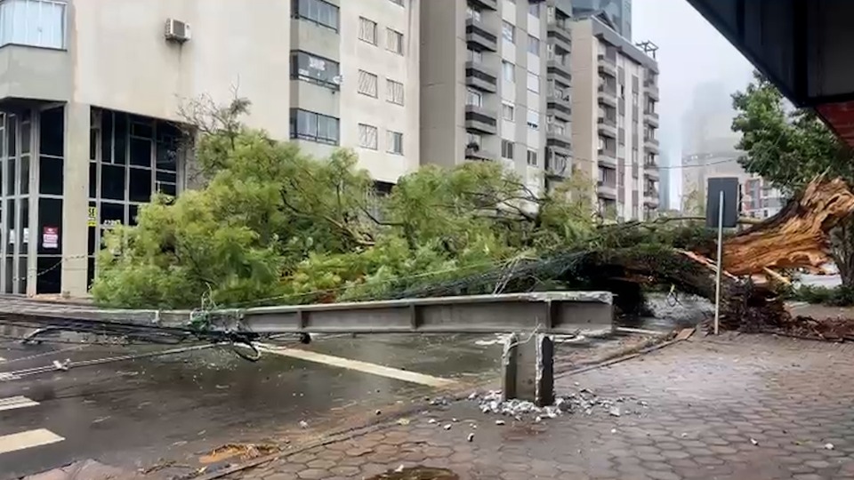 Notícia Relacionada
