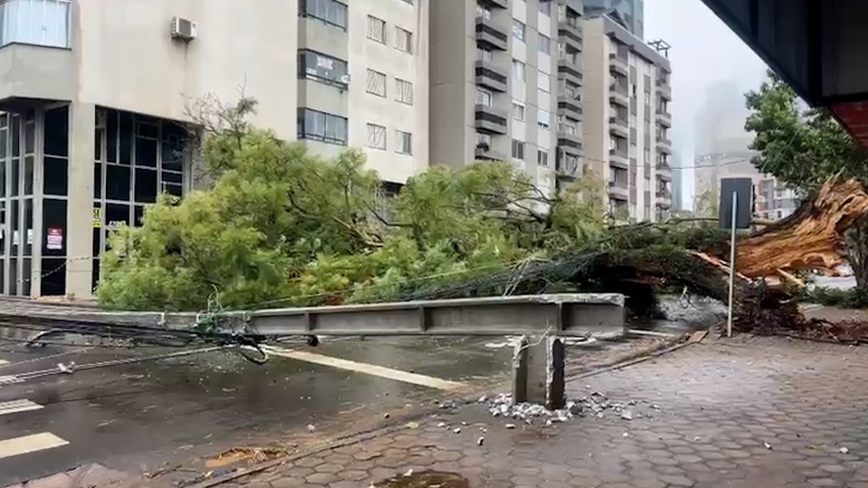 Notícia Relacionada