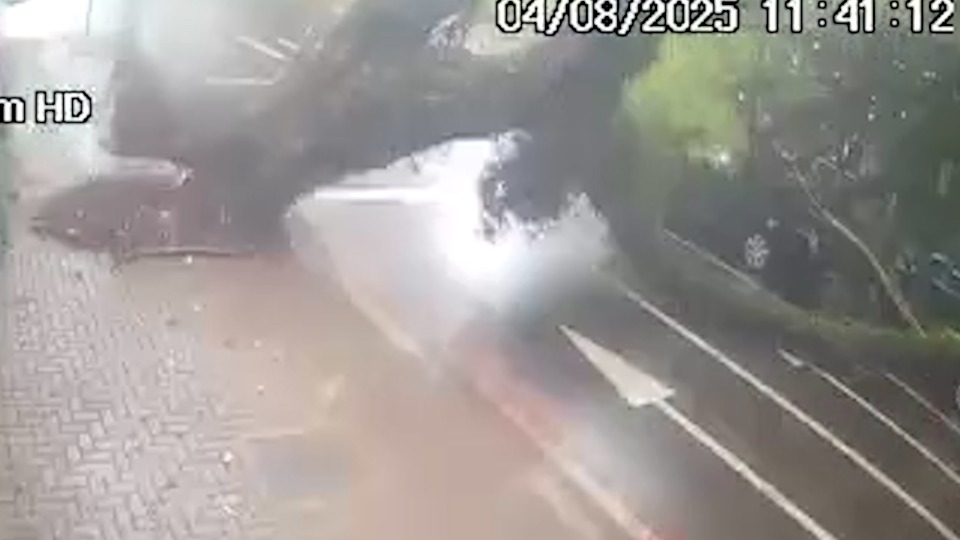 Imagem Últimas Notícias