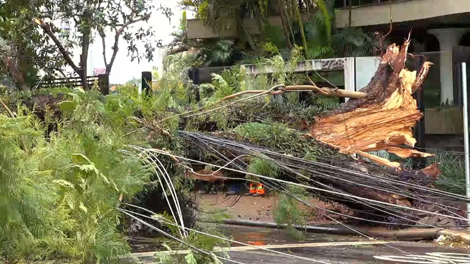 Imagem Últimas Notícias