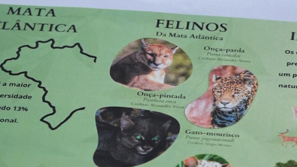 Imagem Últimas Notícias