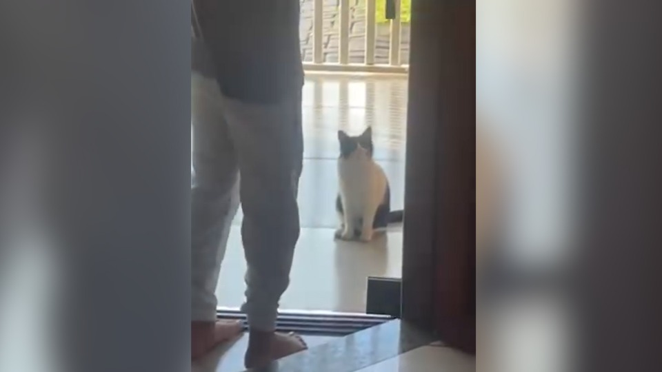 Imagem Últimas Notícias