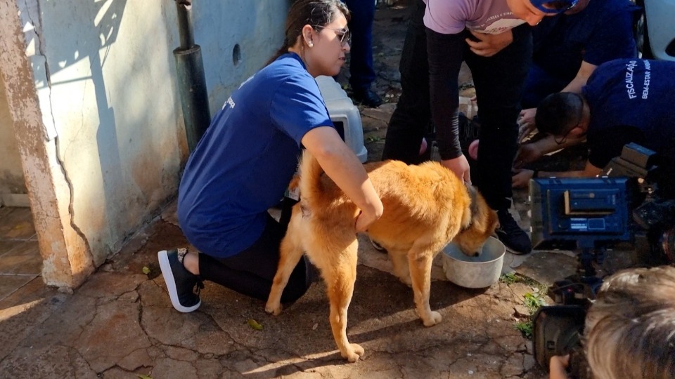 Imagem Últimas Notícias