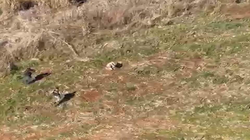 Imagem Últimas Notícias