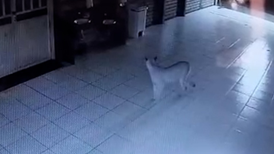 Imagem Últimas Notícias