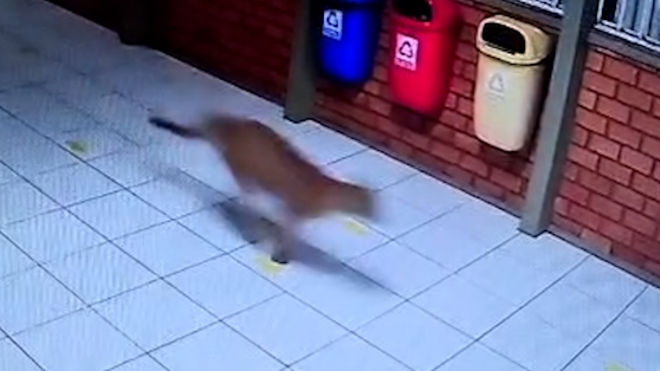 Imagem Últimas Notícias