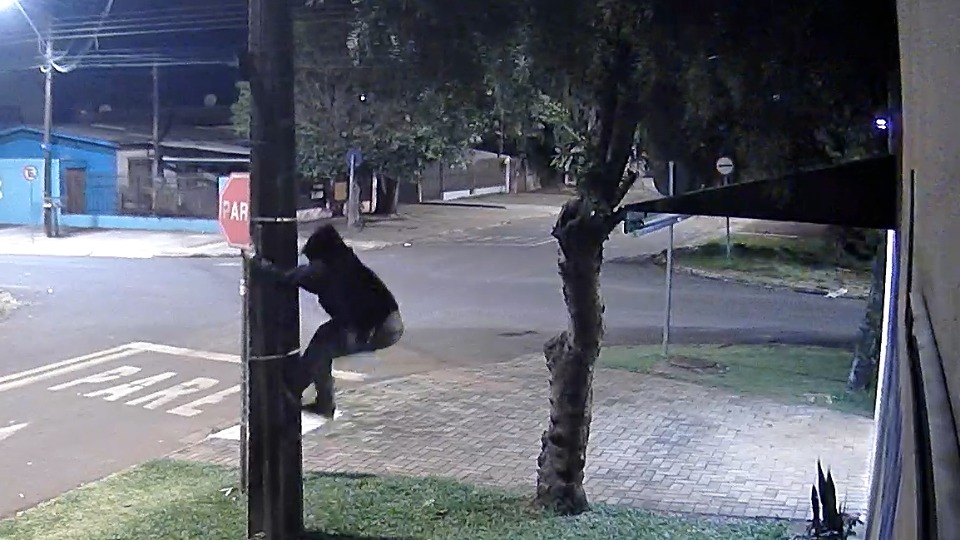 Imagem Últimas Notícias