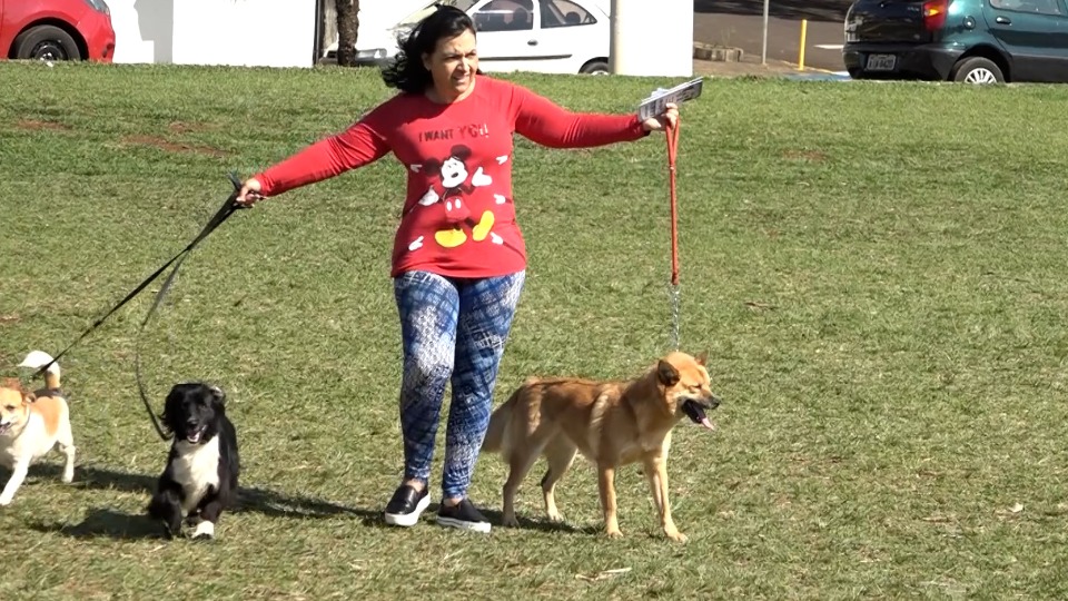 Imagem Últimas Notícias