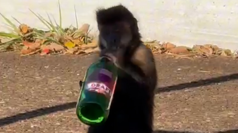 Imagem Últimas Notícias