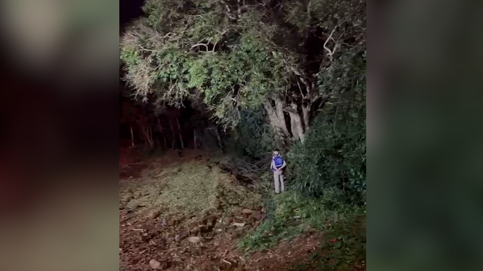 Imagem Últimas Notícias