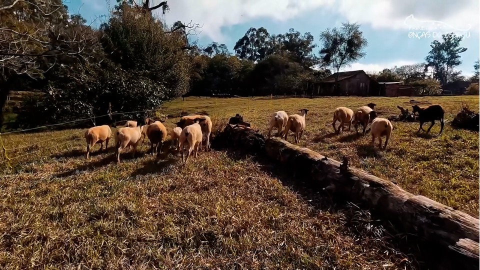 Imagem Últimas Notícias