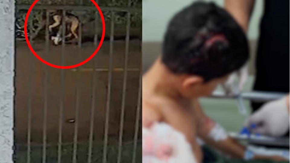 Imagem Últimas Notícias