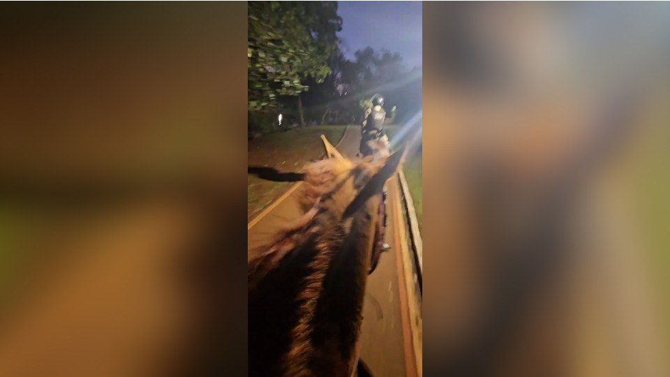 Imagem Últimas Notícias
