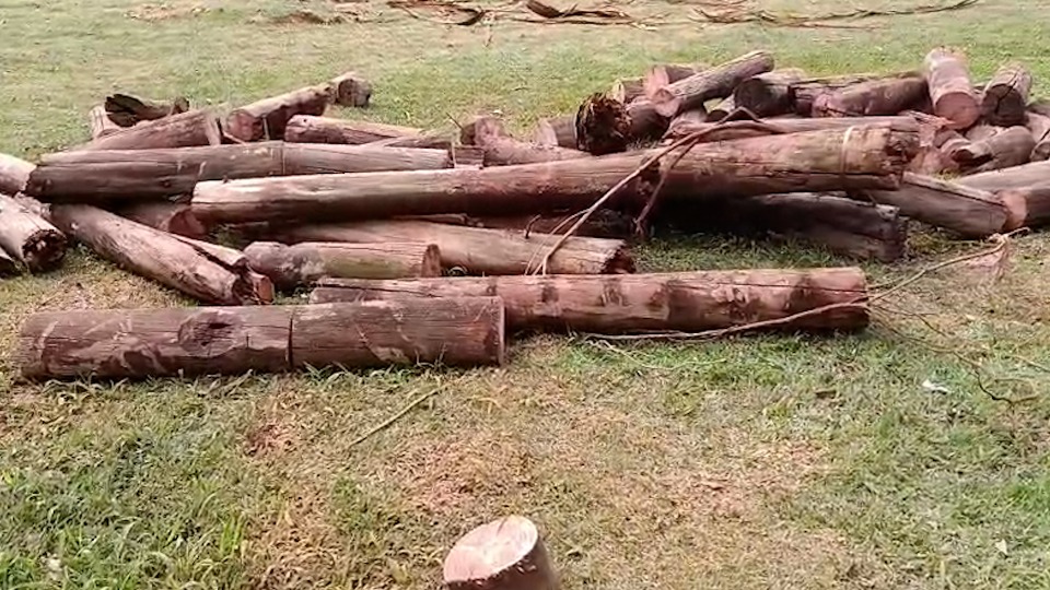 Imagem Últimas Notícias