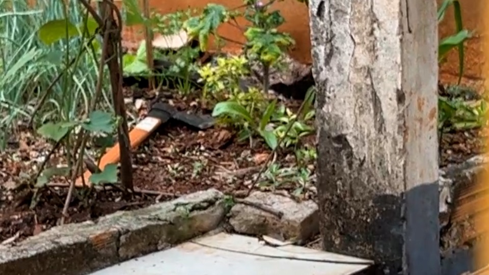 Imagem Últimas Notícias