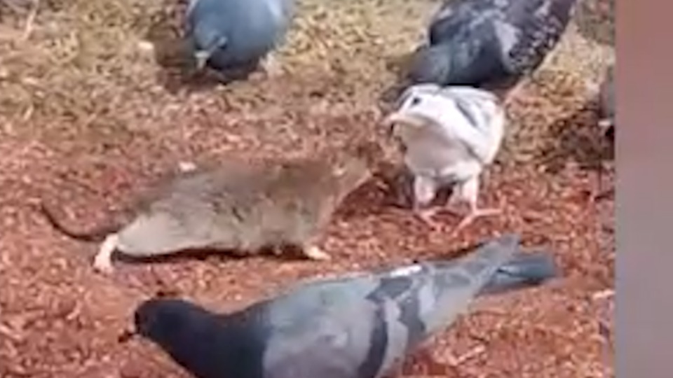 Imagem Últimas Notícias