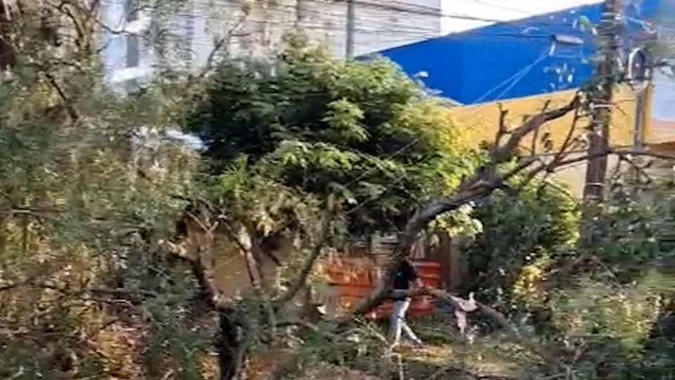 Imagem Últimas Notícias