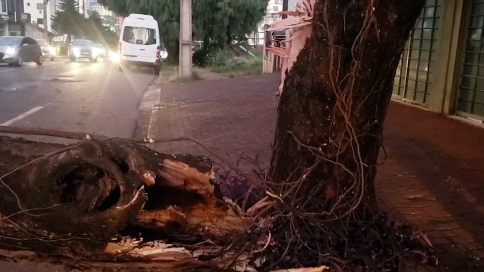 Imagem de Capa